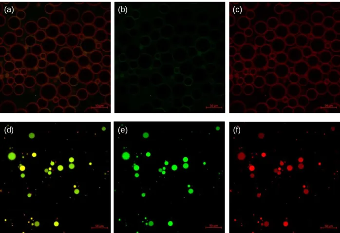 Figure  S6.  Confocal  laser  scanning  microscopy  images  of  emulsions  prepared  from  an  aqueous  P1  solution  with  the  concentration  of  100  μg/mL