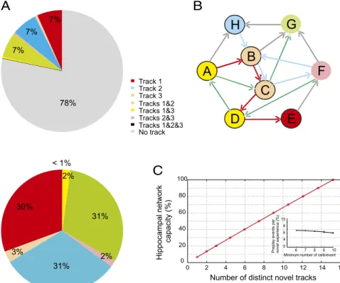 Fig. 3. Quanti ﬁ cation and further estimation of the capacity of the hippocampal network during sleep/rest to preplay multiple novel experiences.