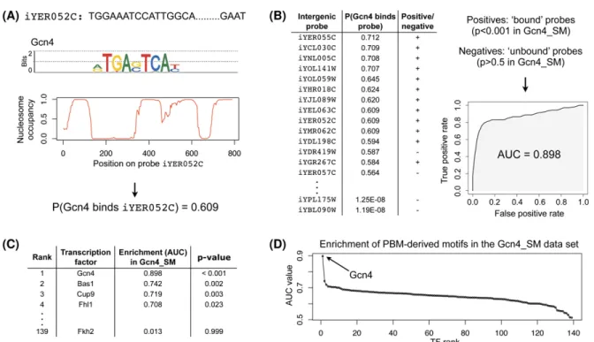Figure 1. Identification of highly enriched motifs in a ChIP-chip data set. We proceed in four steps: (A) For each TF with a PBM-derived motif (here, Gcn4) and each intergenic probe (here, iYER052c), we compute the probability that the TF binds that probe,