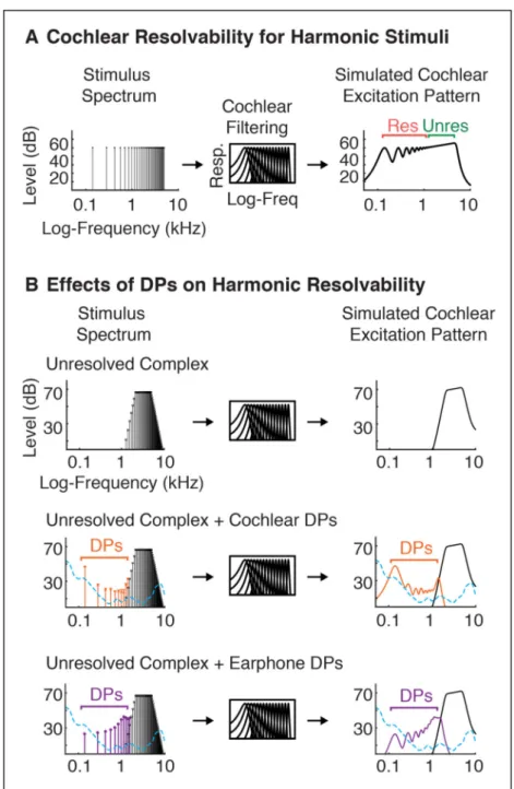 Figure 4. Effect of DPs on Cochlear Resolvability