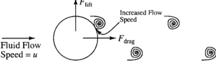 Figure  2-1:  A  cylinder  shedding  vortices