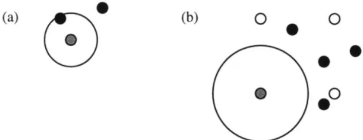 Figure  6.  (a)  Particles  are  ignored  if  they  converge  within  a  fixed  radius of  each other