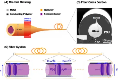 Fig. 1.  A: Schematic of the thermal drawing process. B: Scanning Electron micrograph (SEM) of the cross section of the same fiber after thermal  drawing