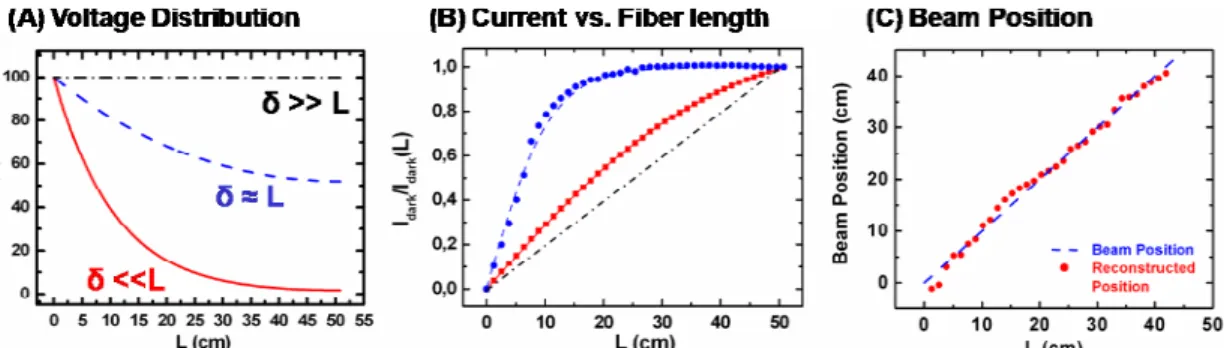 Fig. 2. A: Theoretical curves of the voltage distribution along a fiber axis for different values of δ