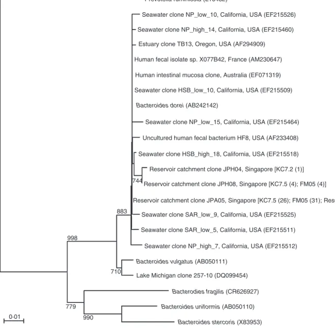 Figure 2 Neighbour-joining tree of cloned sequences recovered from Kranji Reservoir and catchment samples using the human Bacteroides- Bacteroides-specific HF183F and 708R primer pair