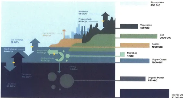 Figure  1-1:  Illustration  of  the global  carbon  cycle.