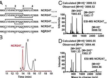 Fig. 1. Generation and analyses of NCR247 regioisomers. (A) Primary se- se-quences and illustration of disulfide bond linkages in NCR247 ox 