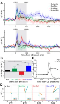Figure 6. Category-independent coding properties of BLA populations
