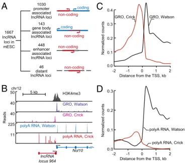 Fig. 3. Most lncRNAs are divergently transcribed from protein-coding genes in mESCs. ( A ) Summary of various types and numbers of lncRNA loci in the mESC catalog, which are listed in Dataset S1
