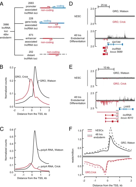 Fig. 4. Divergent lncRNA/mRNA pairs exhibit coordinated changes in transcription as ESCs differentiate into endoderm