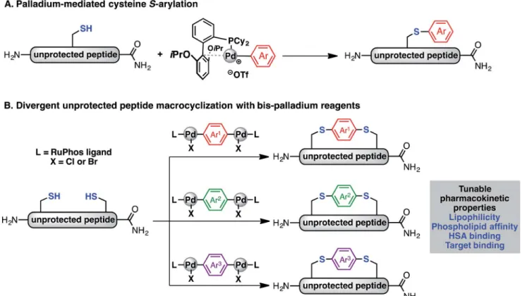 Table 1 One-step synthesis of oxidative addition complexes as stapling reagents are synthesized in good yields