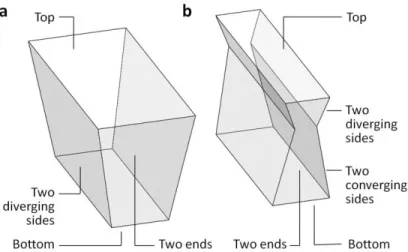 FIG. 2. Number of polygon  faces in a reflected flux polyhedron for (a) planer reflector and (b) parabolic reflector  (degree of divergence exaggerated for clarity)
