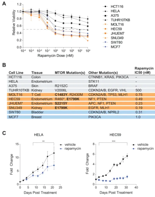 Figure 4. Rapamycin inhibits the proliferation of cancer cell lines with hyperactivating MTOR mutations