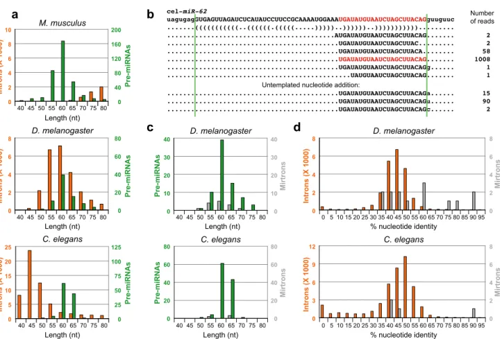 Figure 3 b c d C. elegans D. melanogasterM. musculus 40 45 50 55 60 65 70 75 80 0255075100125020406080051015202502468 Length (nt) 40 45 50 55 60 65 70 75 8040 45 50 55 60 65 70 75 80 02468 0246D
