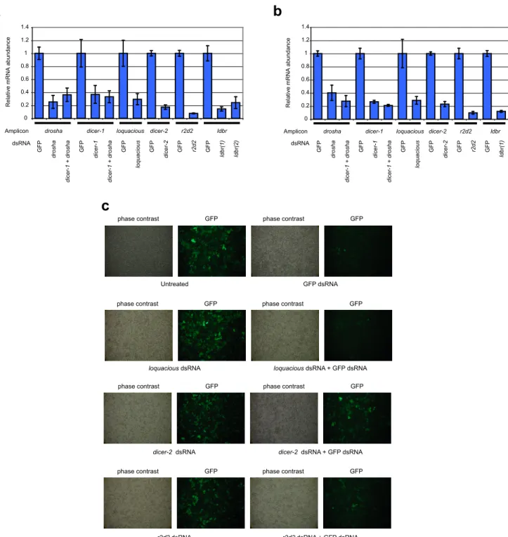 Figure S2.  Confirmation of RNAi knockdowns. a, Quantitative RT-PCR analysis of samples from Fig