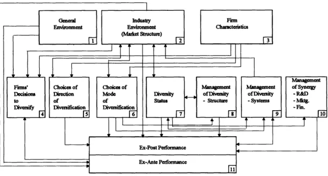 Figure  2.3  Research  on  Diversification:  Themes  and  Linkages