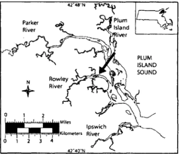 Fig. 1.  Location  of  the  sampling  site (arrow)  in  the  Plum  Island salt marsh,  MA,  USA.