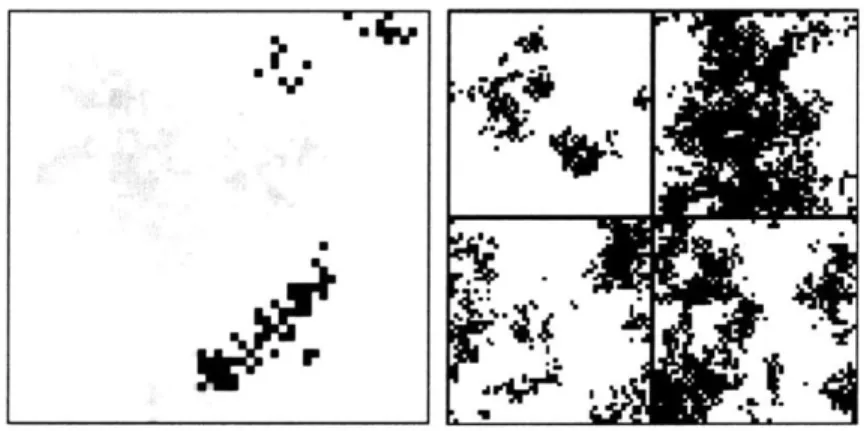 Figure  11:  Simulated  spatial  pattern  of diversity  in  a  two-dimensional  space  (repre- (repre-sented as  a lattice  of  I  x  1  sites with  1  =  50)