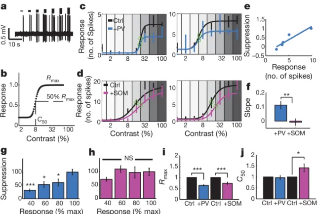 Figure 4. Modulation of response gain by PV and SOM cells during targeted cell-attached recordings