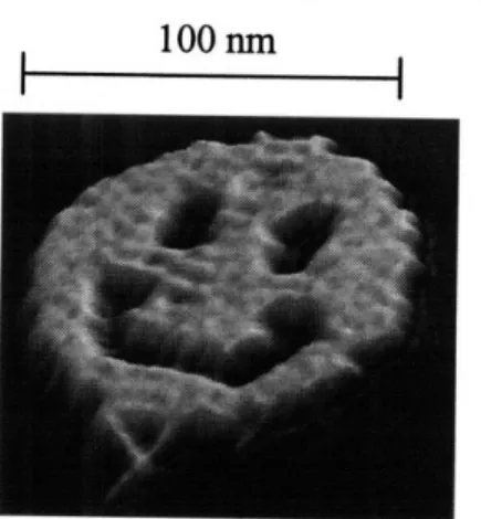 Figure 2.  Using DNA  to build molecular structures  (DNA  origami).