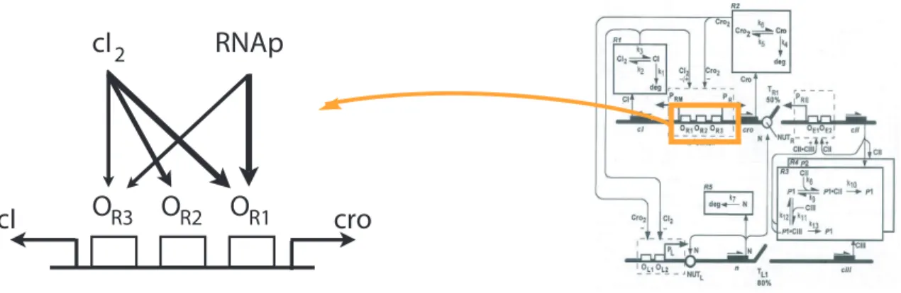 Figure 6-2: The figure to the left is a graphical representation of the site-specific economy forλ-page