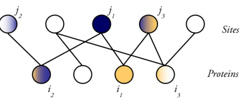 Figure 3-3: Bipartite structure of the site specific economy. Nodes represent agents and edges represent interactions between agents (K ij , E ij )