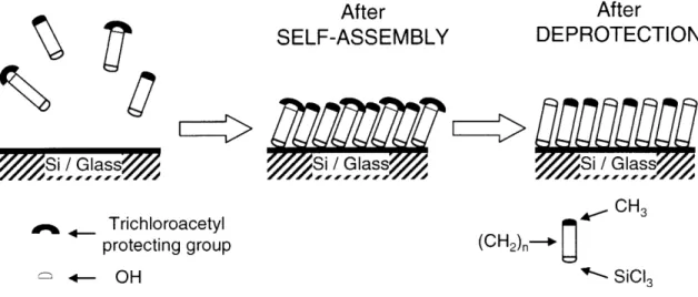 Figure  1-2.  Schematic  illustration  of  formation  of  mixed  self-assembled  monolayers
