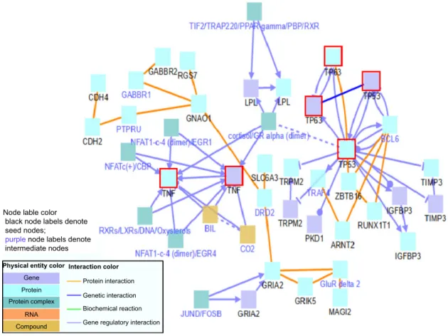 figure 5. tumor suppressor gene network including tP53, tP63, and tnf-alpha.  