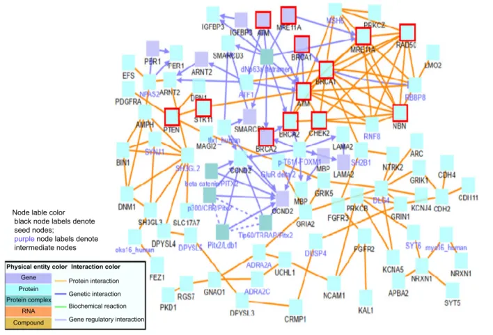 figure 6. Breast cancer susceptibility of high- and intermediate-risk genetic mapping