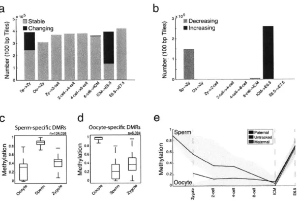 Figure  1-7:  Major transitions in DNA  methylation  levels  during early  development