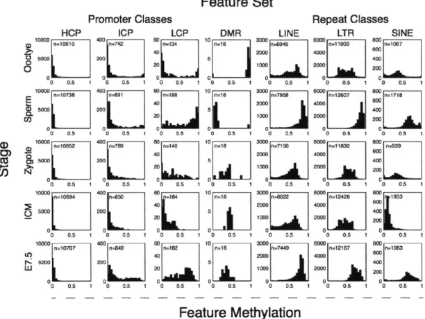 Figure  1-10:  Methylation  histograms for genomic feature  annotations  throughout  pre-implantation development