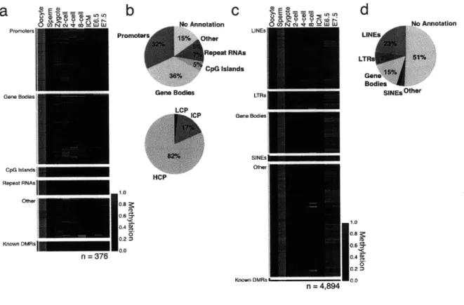 Figure  1-11:  Differentially  methylated  regions  represent  discrete gamete  specific feature classes