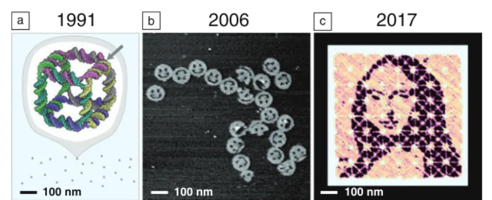 Figure 1.  Snapshots from the evolution of DNA nanotechnology. (a) Seeman’s original  DNA cube, constructed from 10 strands using hybridization and enzymatic ligation over  five steps to give a 170 kilodalton molecular complex in 1% yield by gel