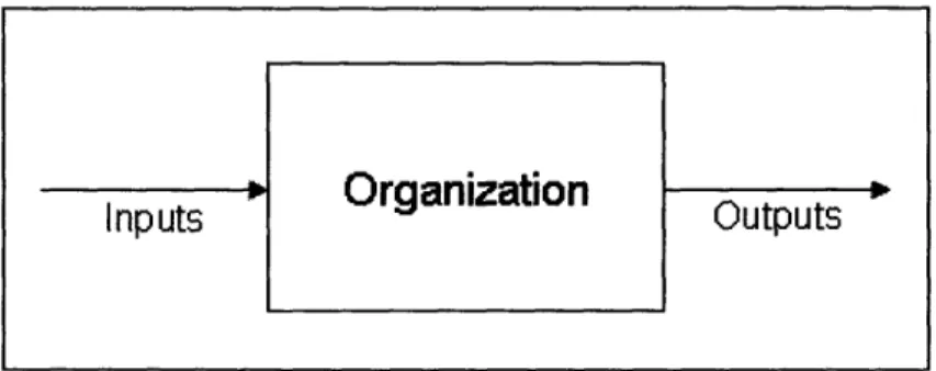 Figure 1. The Process View of an Organization.