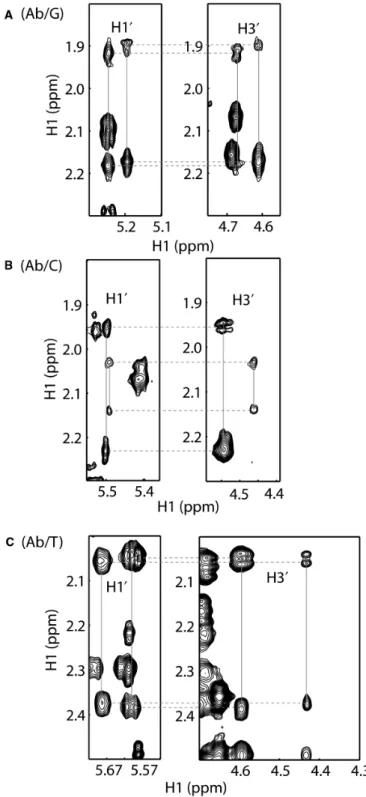 Figure 2. Chemical shift assignments of protons associated with the abasic site deoxyribose by TOCSY experiments (60 ms mixing time).