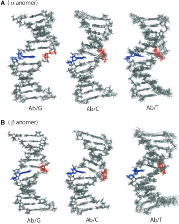 Figure 3. The overlay of 10 ﬁnal structures of Ab/G, Ab/C and Ab/T.