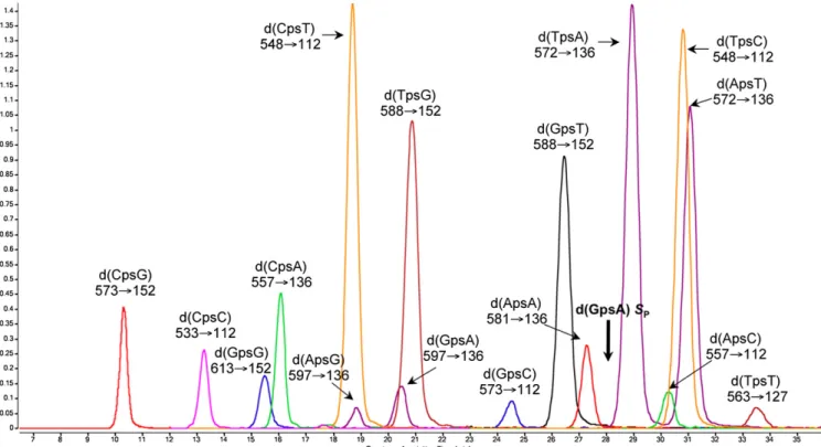 Fig. 1. Analysis of PT-linked dinucleotides by LC-MS/MS in multiple reaction monitoring mode