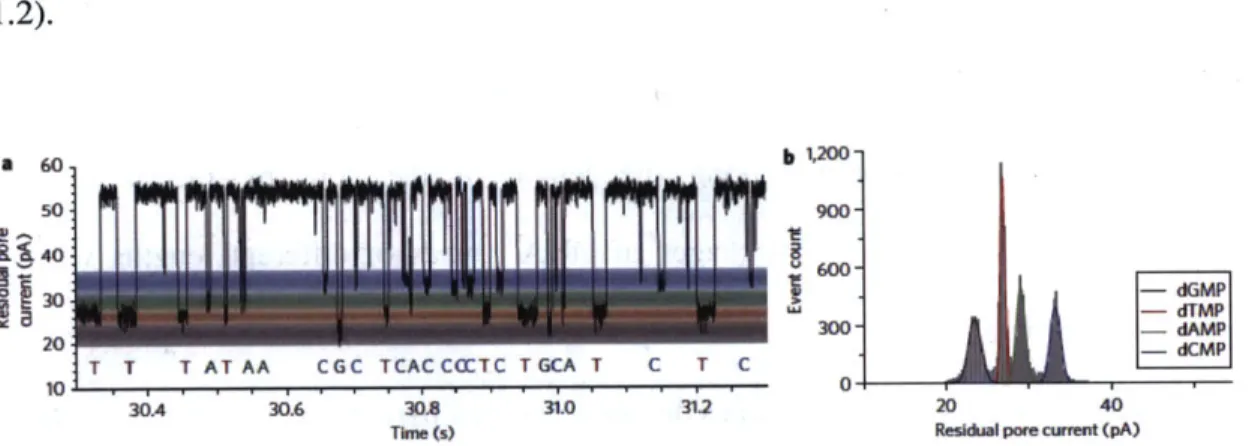 Figure  1.2  Nucleotide  event  distributions  with  a  permanent  cyclodextrin  adapter