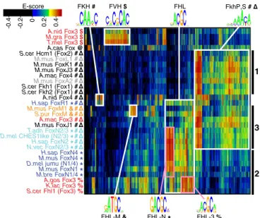 Fig. 4. Biclustering of Fox domain binding data reveals multiple functional classes. E-score binding pro ﬁ les were clustered both by protein (rows) and by contiguous 8-mer (columns) for any 8-mer bound (E score ≥ 0.35) by at least one assayed Fox protein