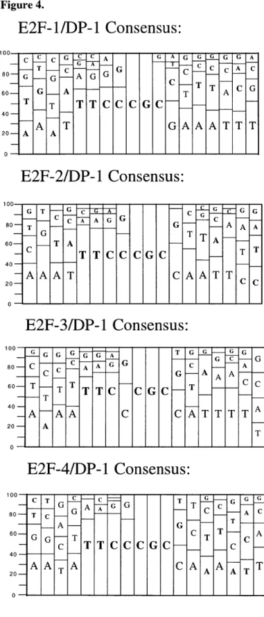 Figure 4. E2F-1/DP-1  Consensus: lUU-  - _  C  A  G  G - T  C  C  C  A  C 80-  G  G  A  G  G  C 60  G_  A  T  ACG 