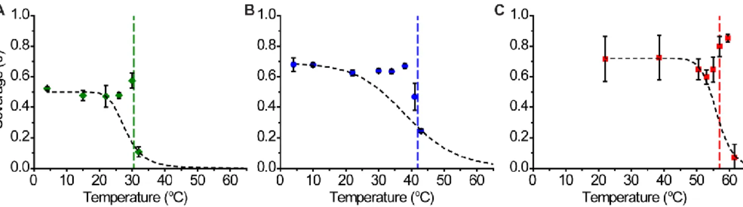 Figure 4. Coverage dependence on temperature for three systems: green is the standard sticky end  in 0.15 M PBS, blue is the standard sticky end in 0.5 M PBS, and red is the long sticky end in 0.5  M PBS