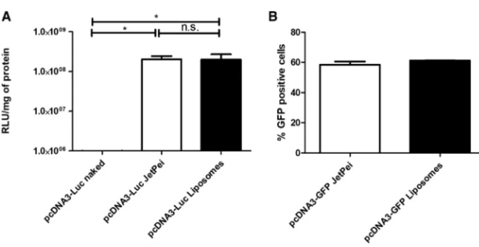 Figure 2. High Efficiency of Transfection Using Plasmid-Loaded Liposomes Compared to a Commercial Kit