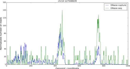 Fig 4. DNase-seq and DNase-capture appear concordant. A one kilobase capture region in chromosome 10, starting at base 127508639