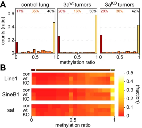 Figure 2. Methylation levels of CpGs and repetitive elements. (A) Methylation levels of individual CpGs in several tissue samples