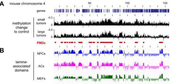 Figure 5. Characterization of hypomethylated domains in Dnmt3a wt tumors. All tracks show data for the entire mouse chromosome 4, the distance between the vertical black lines corresponds to 10 Mb of DNA sequence