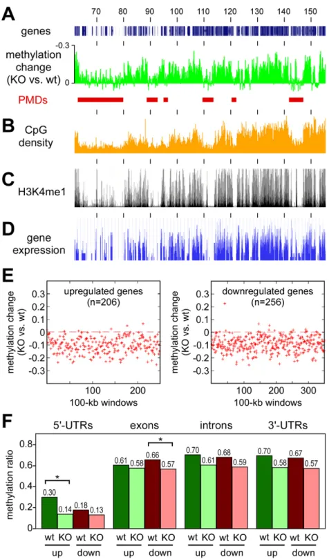 Figure 6. Characterization of Dnmt3a-protected domains. All tracks show data for the distal part of mouse chromosome 4, numbers correspond to chromosomal positions in Mb