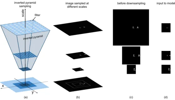 Figure 3: Eccentricity-dependent model: Inverted pyramid with sampling points. Each circle represents a filter with its respective receptive field