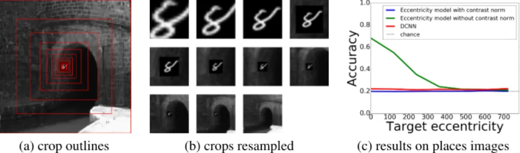 Figure 8: (a-b) An example of how multiple crops of an input image look, as well as (c) recognition accuracy when MNIST targets are embedded into images of places.