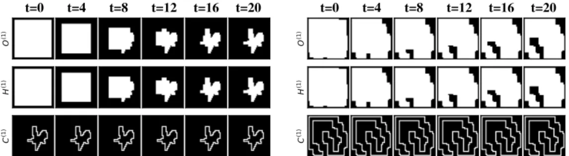 Figure 9: Visualization of Convolutional LSTM with the Mathematically Derived Parameters