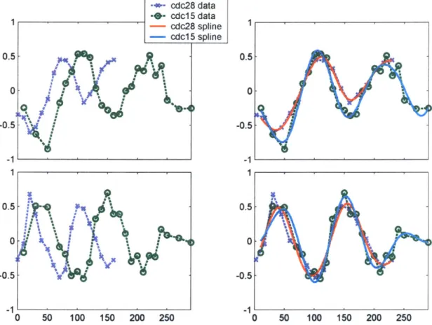 Figure  4-2:  With  the alignment  algorithm  it  was estimated  that  the cdc28DS  cell  cycle  runs at  ~~ 1.4 times  the speed  of the cdc15DS  cycle  and starts  ~  5.5  minutes  before,  a biologically reasonable  result